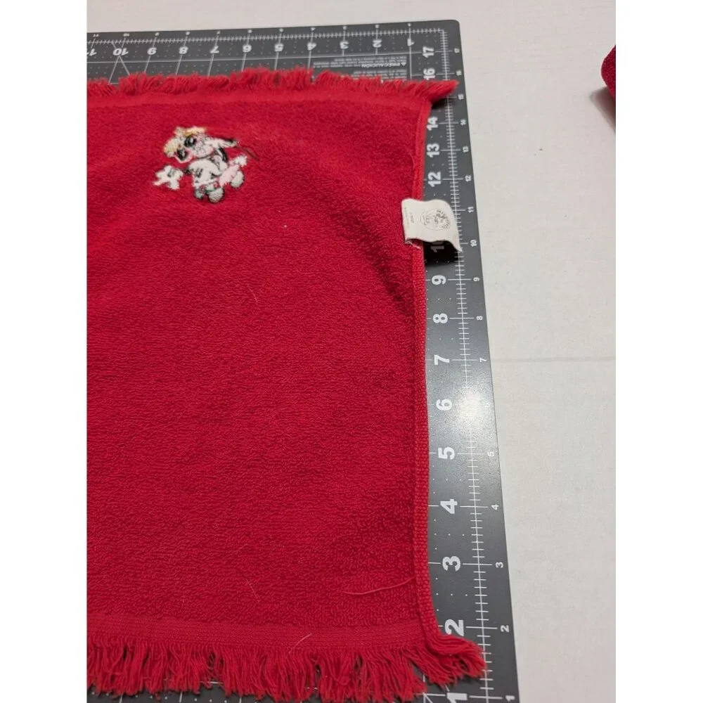 Mickey and co Christmas Mickey‎ Holiday towel & washcloth embroidered fringe